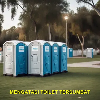9 Cara Ampuh Mengatasi Toilet Tersumbat di Jakarta